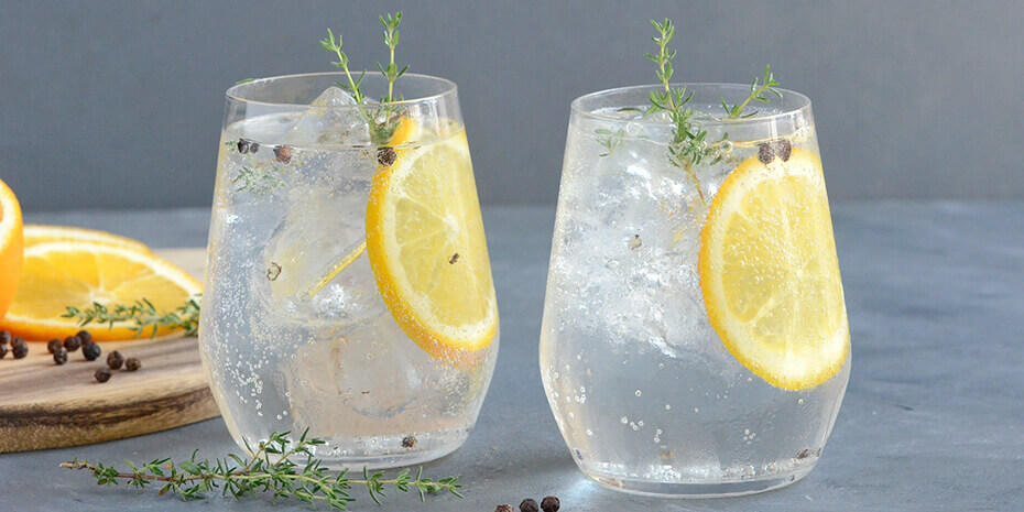 Hvilken gin er bedst til gin og tonic?