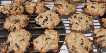 Cookies med lune chokoladestykker og gylden teint.