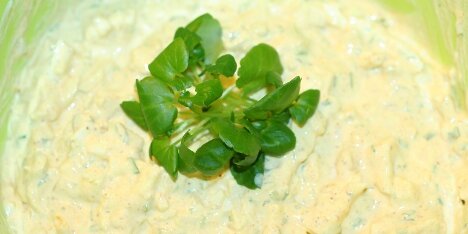 Her pyntet med brøndkarse.