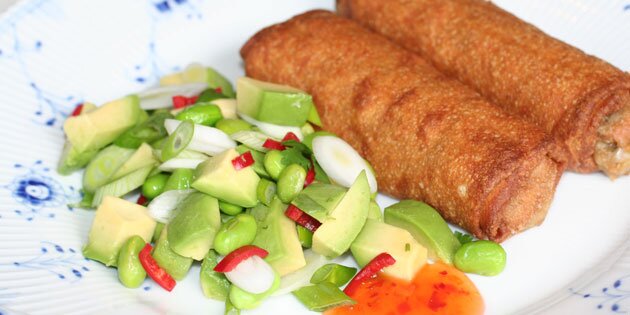 Her er den asiatiske salat serveret til forårsruller.