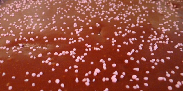 Kagen kan også pyntes med krymmel.