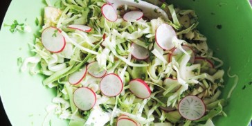 Salaten med spidskål og radiser