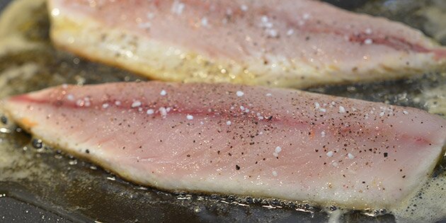 Fisken steger på panden.