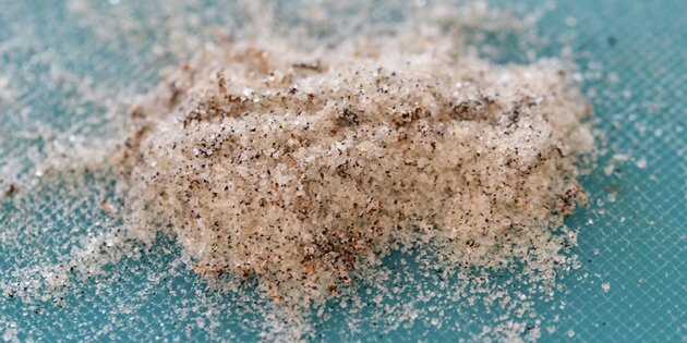 Hjemmelavet vaniljesukker.