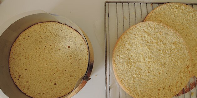 Kagen flækkes til 3 bunde