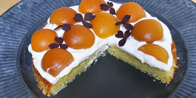 Fantastisk lækker kage med abrikoser på toppen og en dejlig vaniljecreme