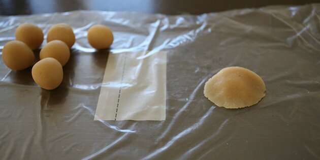 Sådan skal rosenbladene se ud