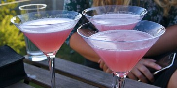 Dejlig sommerlig drink med rabarber og vodka i martiniglas