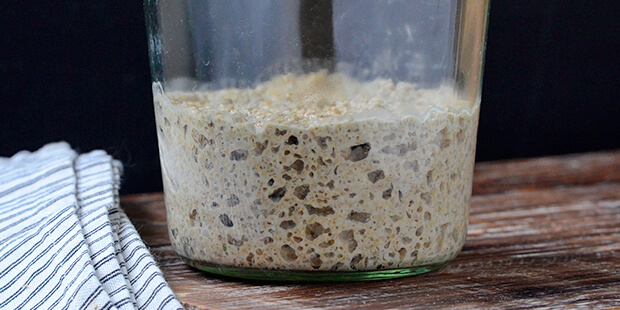 En frisk surdej til rugbrødsbagning