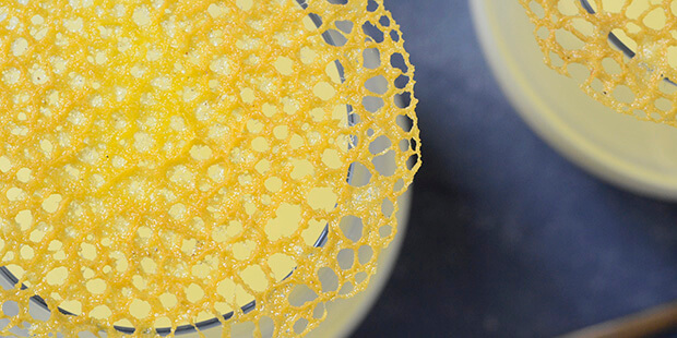 Korallerne ligner nærmest edderkoppespind.