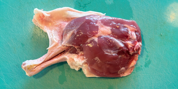 Skindet er løsnet fra benet, så det kan steges sprødt
